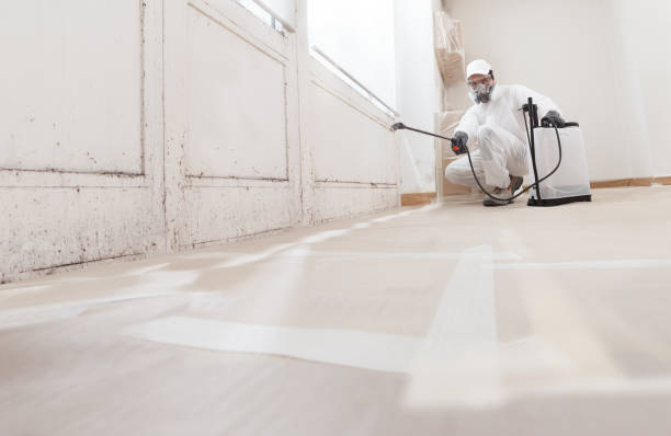 24/7 Emergency Black Mold Remediation experts in Bonney Lake, WA